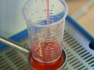 LABORATORIO VINO (4)